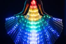 Led Wings