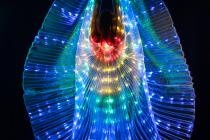 Led Wings